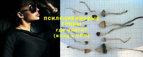 молекула духа Богородск