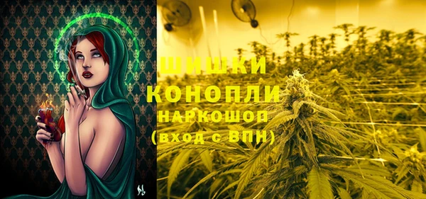 амф Богородицк