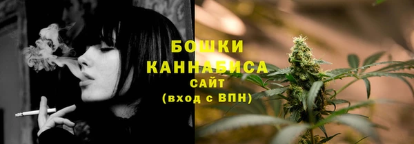 молекула духа Богородск