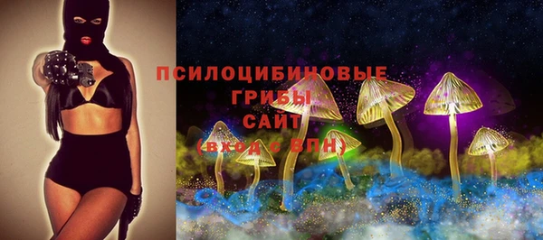 молекула духа Богородск