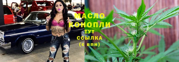 молекула духа Богородск